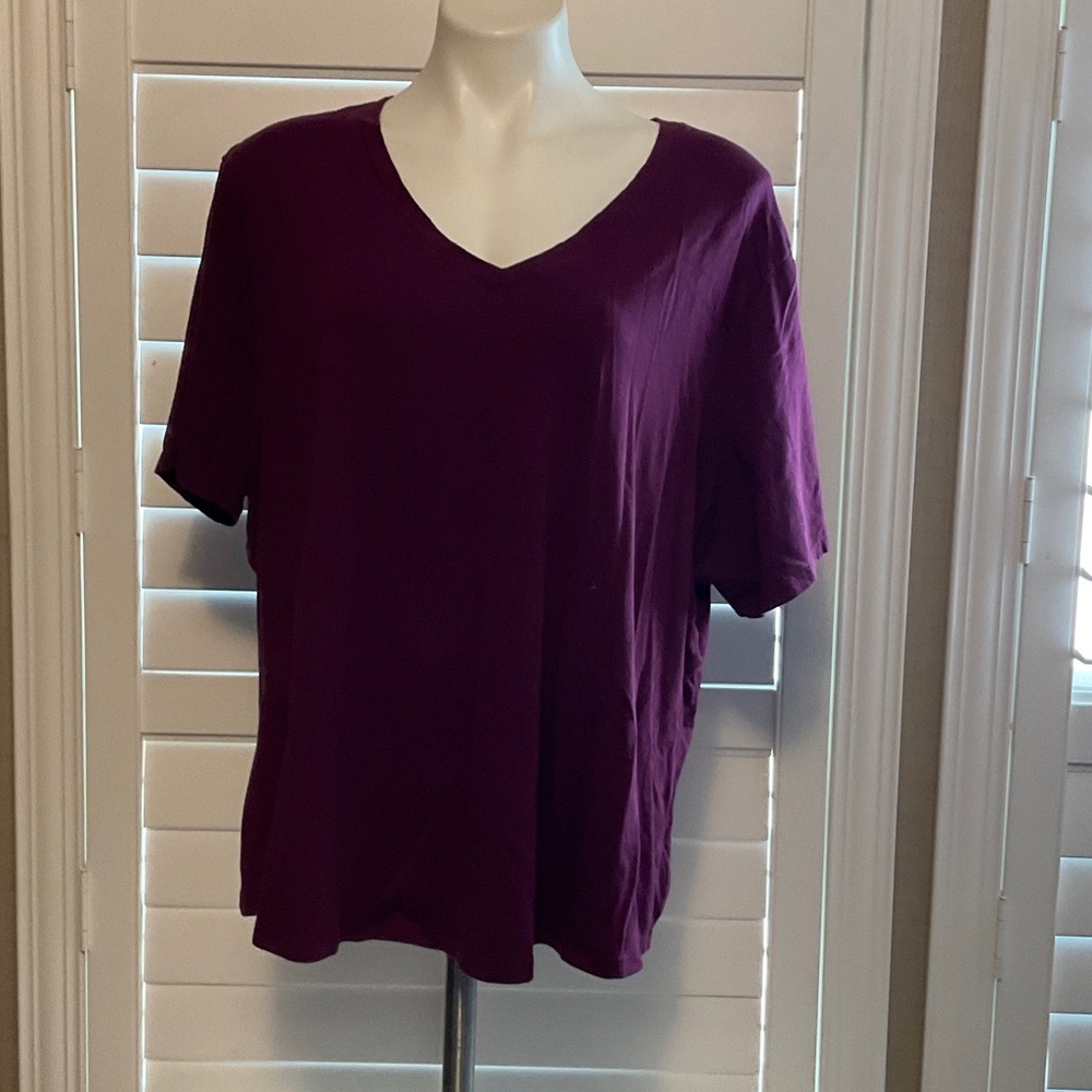 Terra & Sky Women's Short Sleeve V-Neck Top - Deep Purple